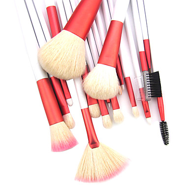 Professional Makeup Brush With Free Case 18PCS