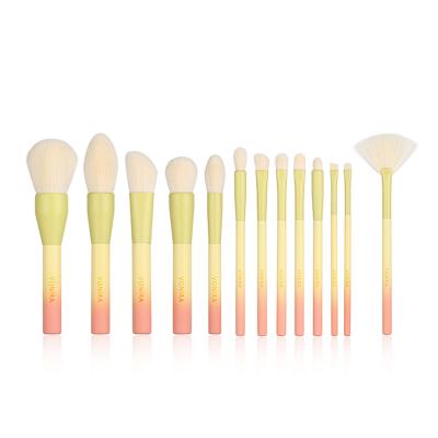 14 Piece Professional Gradient Color Makeup Brushes Set Manufacturer Private Lab