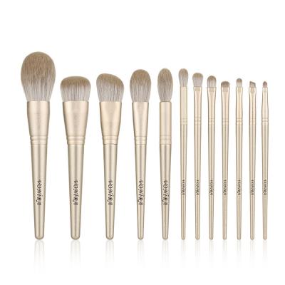 Speical Festival Holdiay 12 Pieces Champagne Gold Essential Makeup Brush Set