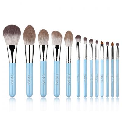 Vonira Beauty 13 Piece Ocean Blue Color Brush Kit Complete Face and Eye Makeup B