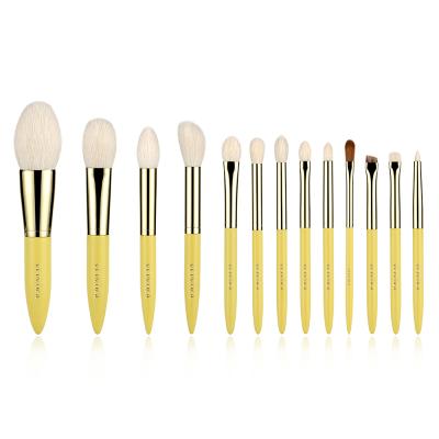 Vonira Custom Professional 13 Pieces Gold Natural Goat Hair Makeup Brushes Set W